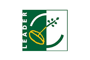 Free website template