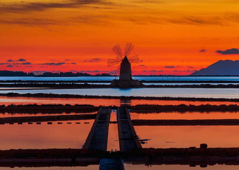 Free website template