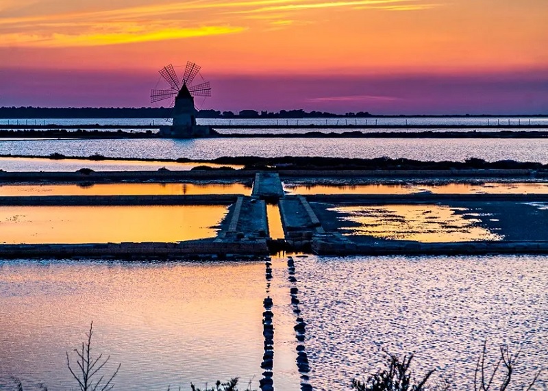 Free website template